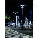 Парковый фонарь «Адениума»